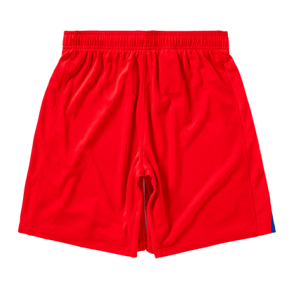 PSG Tredje Herrer Shorts 2025/26