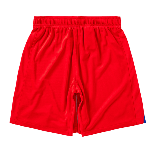 PSG Tredje Herrer Shorts 2025/26